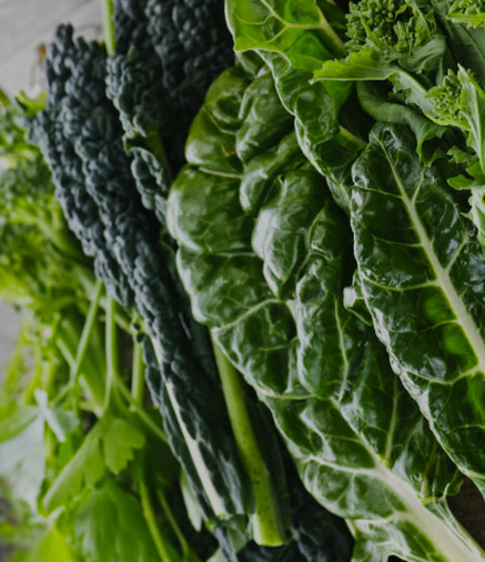 Nutrition Tips for Women