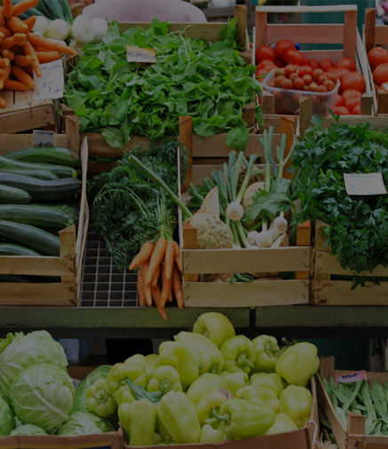 Plants VS Animals: What is the best source of amino acids?