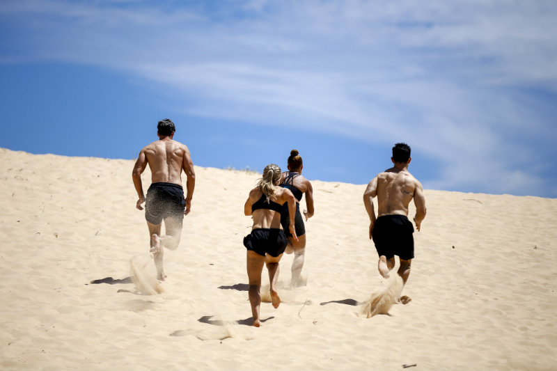 Guide to Cluster Dextrin