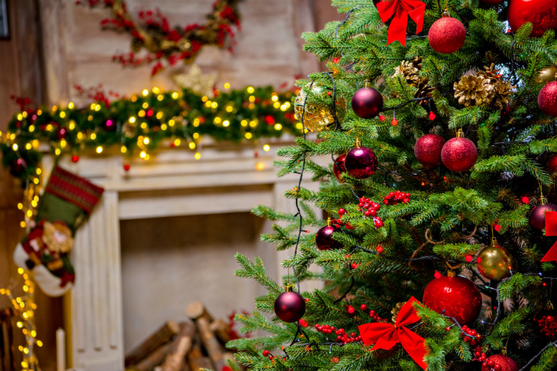 Tips for Staying Fit and Healthy During the Festive Season