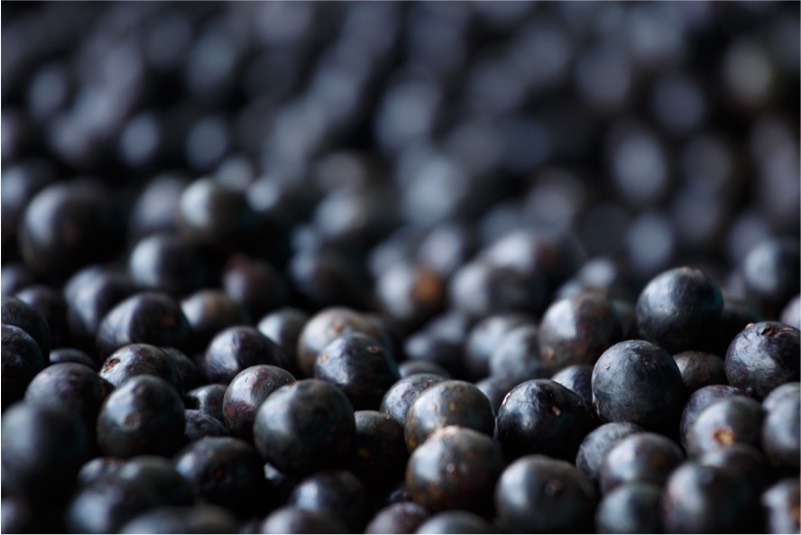 Amazing Amazonian Açaí